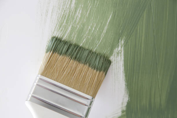 Best Basement Mold Removal  in Bedford, IA