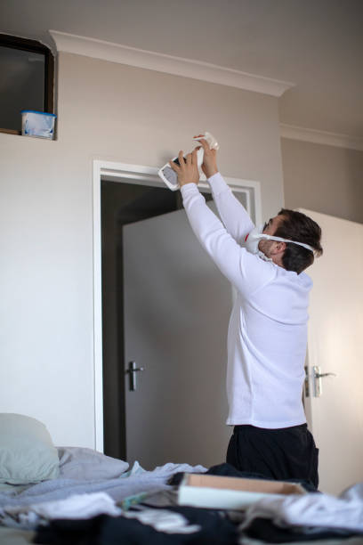 Best Dehumidification Services  in Bedford, IA