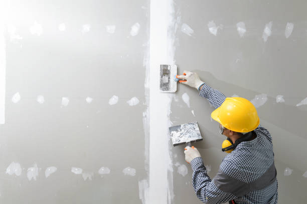 Professional Mold Removal in Bedford, IA