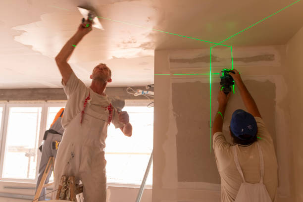 Best Black Mold Removal  in Bedford, IA