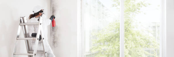 Best Mold Remediation for Healthcare Facilities  in Bedford, IA